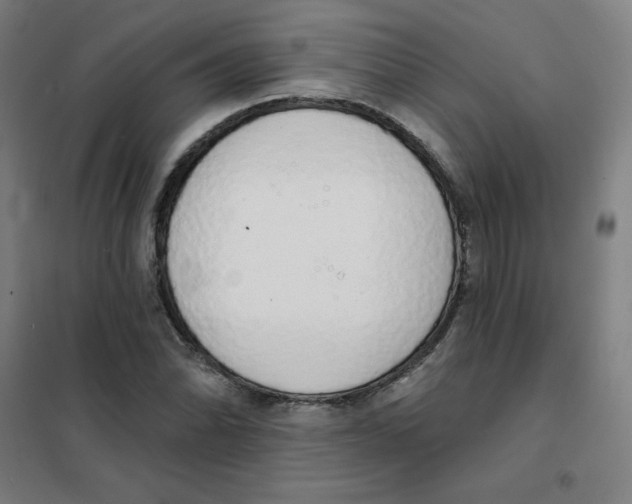 X0000101401070200808041035