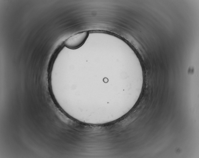 X0000101401072200808041035