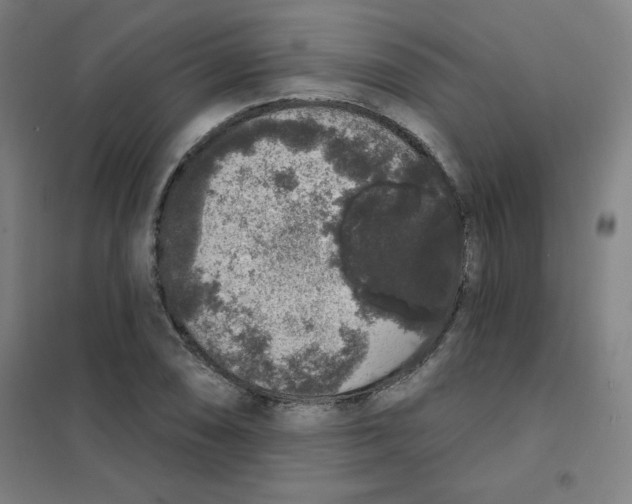 X0000101401074200808041035