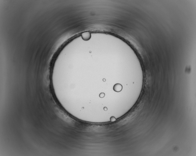 X0000101401075200808041035