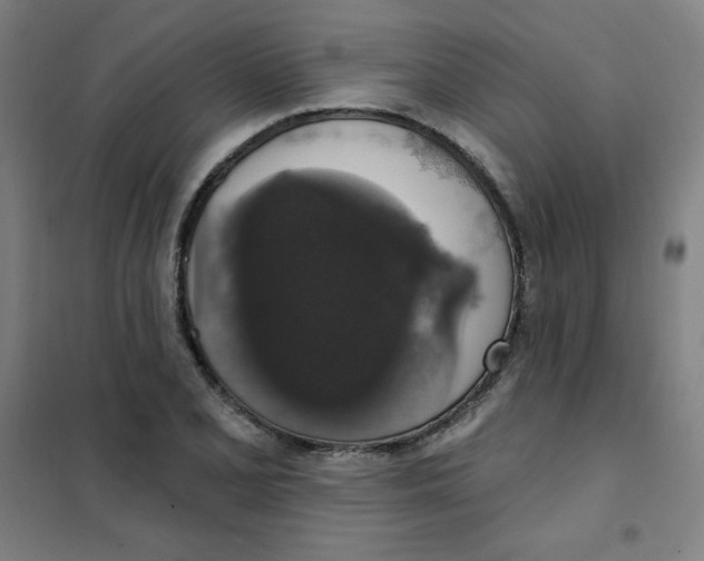 X0000101401077200808041035