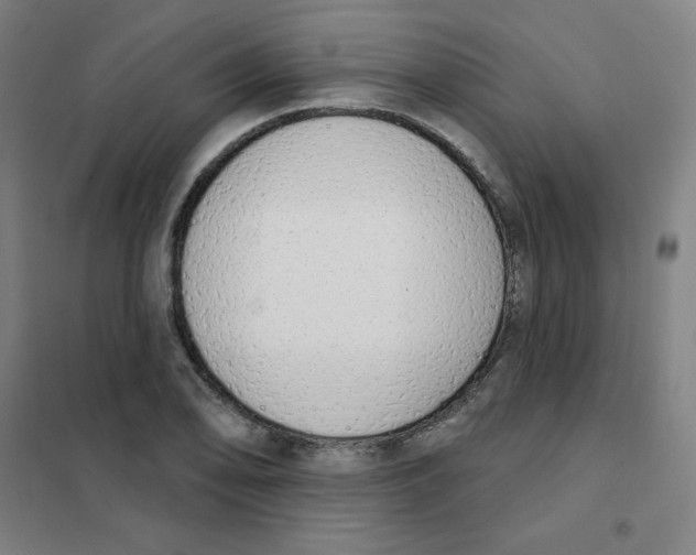 X0000101401078200808041035