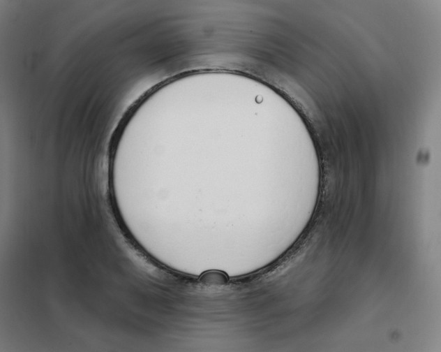 X0000101401079200808041035