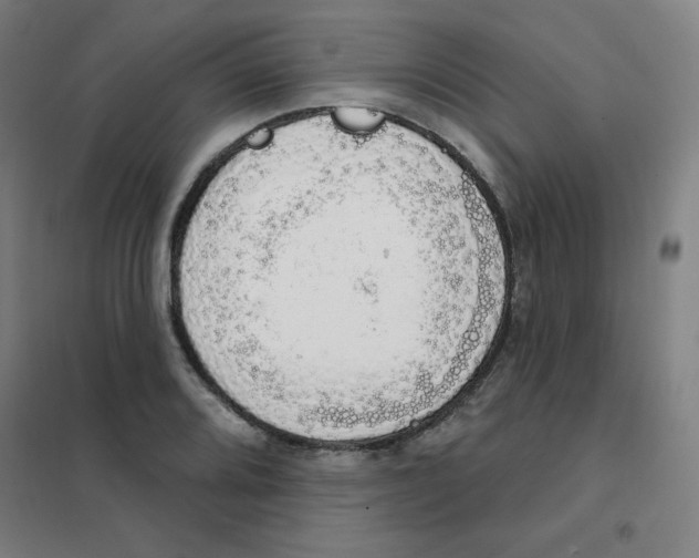 X0000101401080200808041035