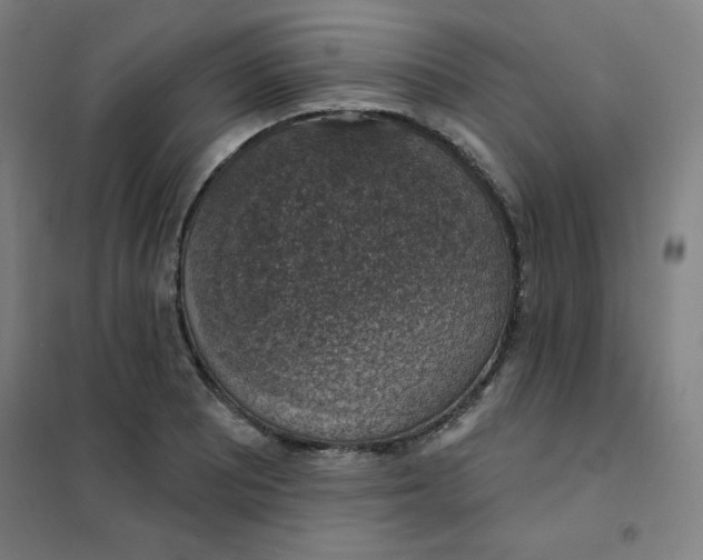 X0000101401081200808041035