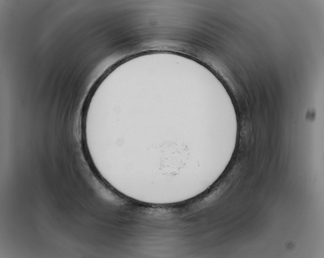 X0000101401082200808041035