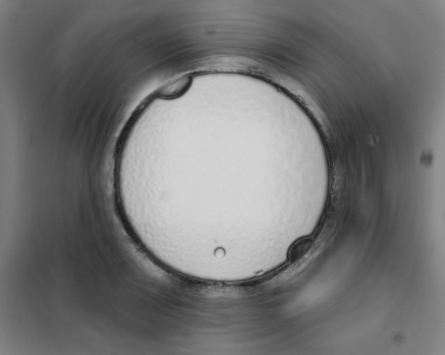 X0000101401083200808041035