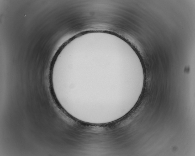 X0000101401085200808041035