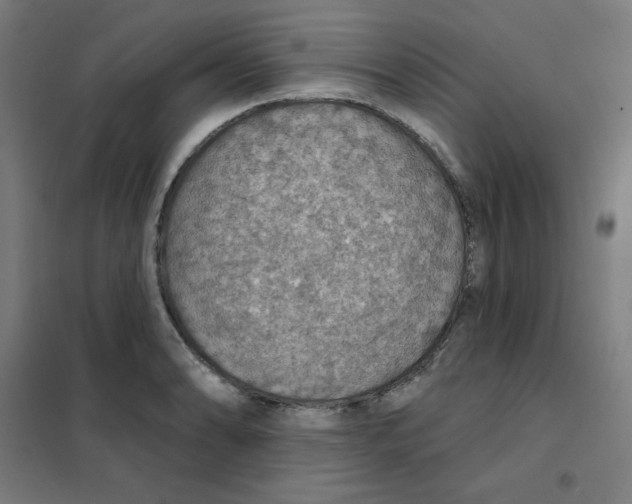 X0000101401086200808041035