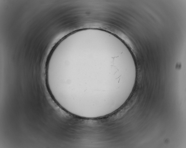 X0000101401088200808041035