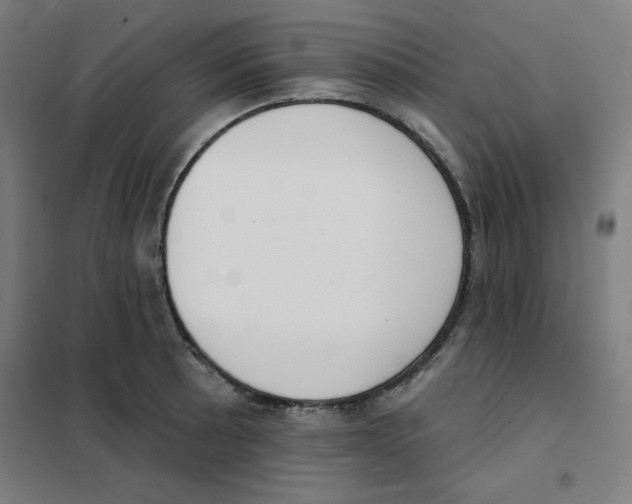 X0000101401089200808041035