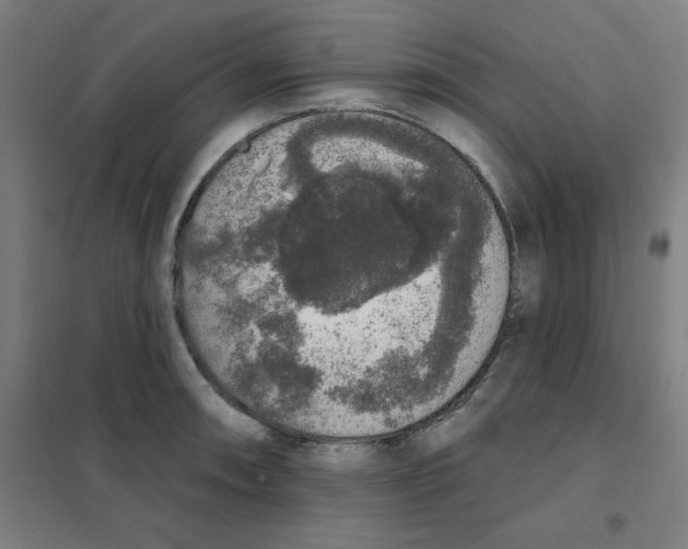 X0000101401090200808041035