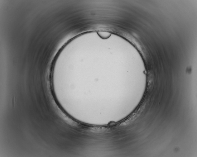 X0000101401091200808041035