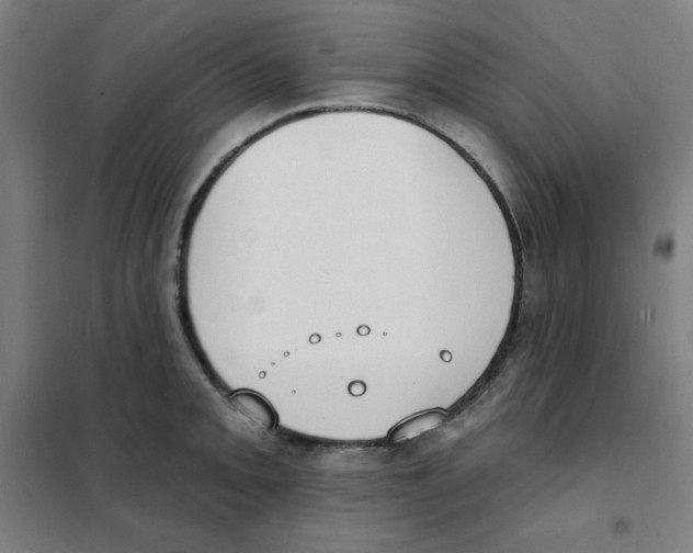 X0000101401093200808041035