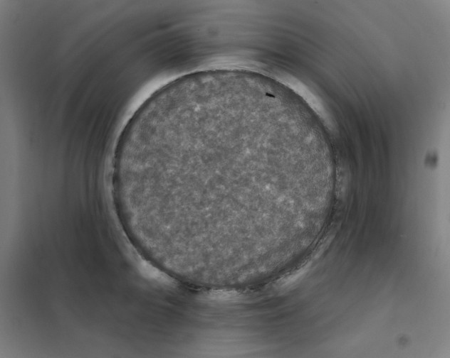 X0000101401094200808041035