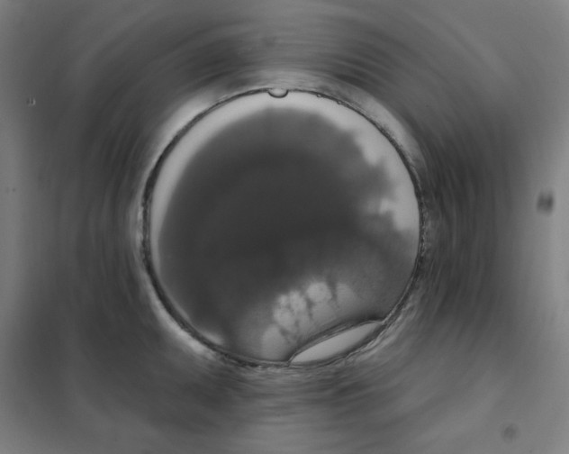 X0000101401095200808041035