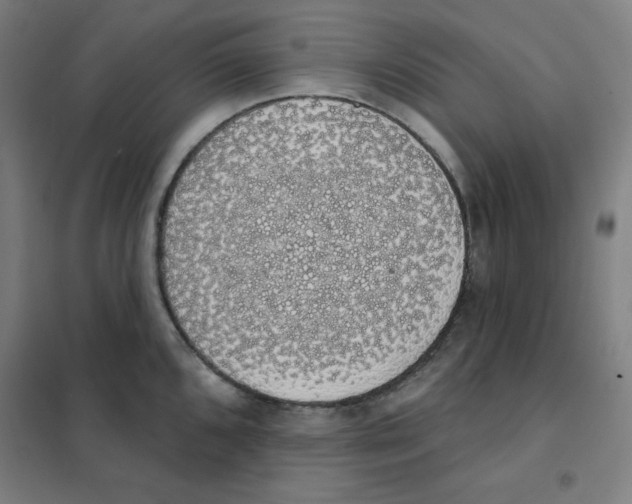 X0000101401096200808041035