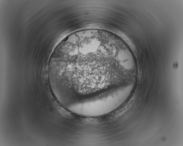 X0000101401097200808041035