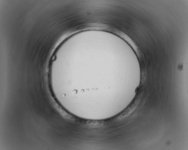 X0000101401099200808041035