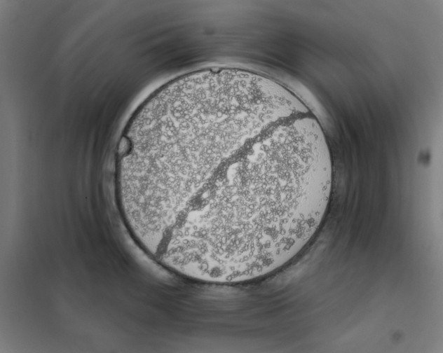 X0000101401100200808041035