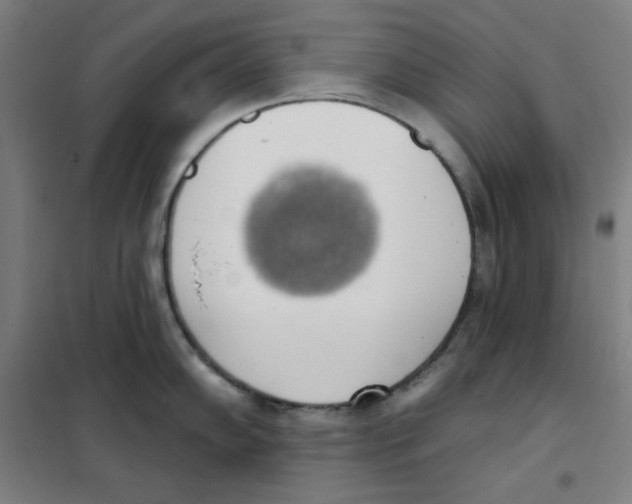 X0000101401102200808041035