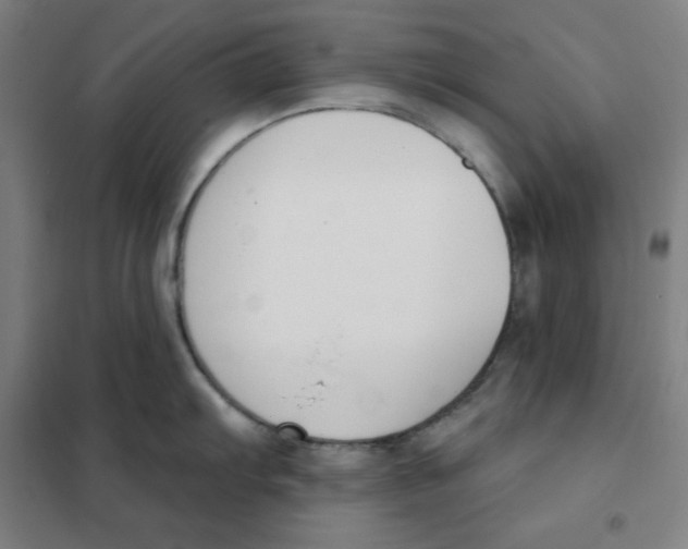 X0000101401103200808041035