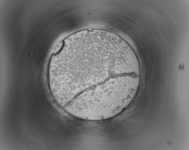 X0000101401104200808041035