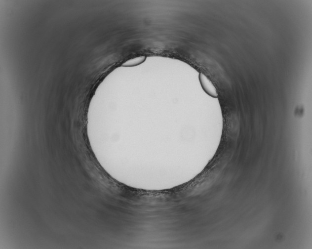 X0000101401105200808041034