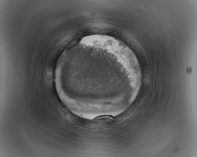 X0000101401108200808041034