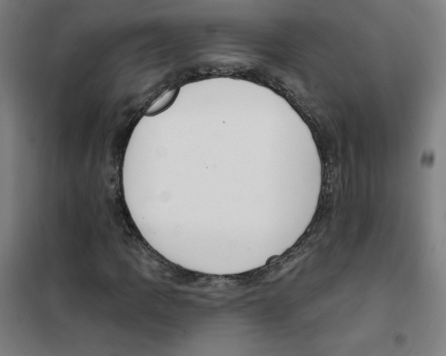 X0000101401109200808041034