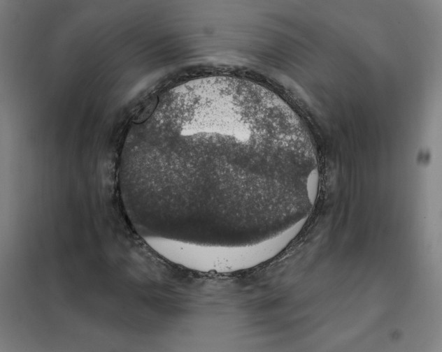 X0000101401110200808041034