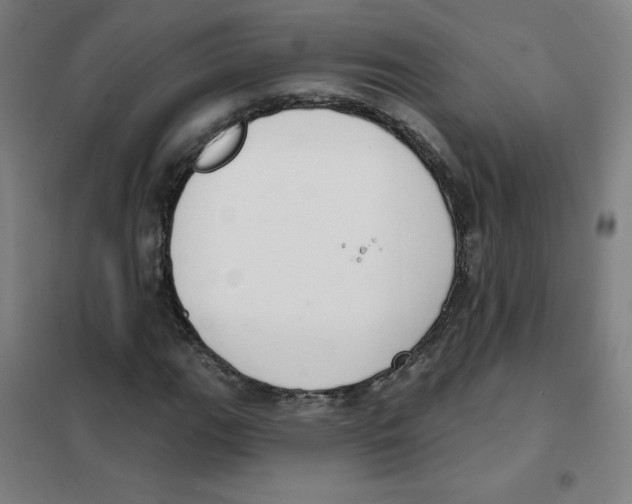 X0000101401111200808041034