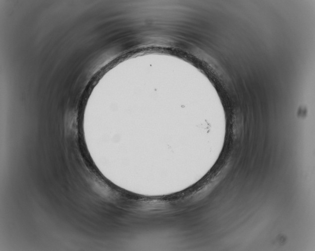 X0000101401113200808041034