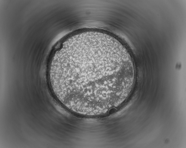 X0000101401114200808041034