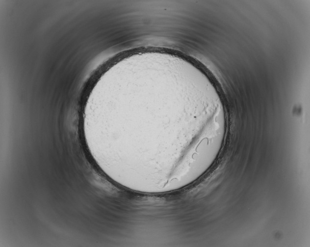 X0000101401115200808041034