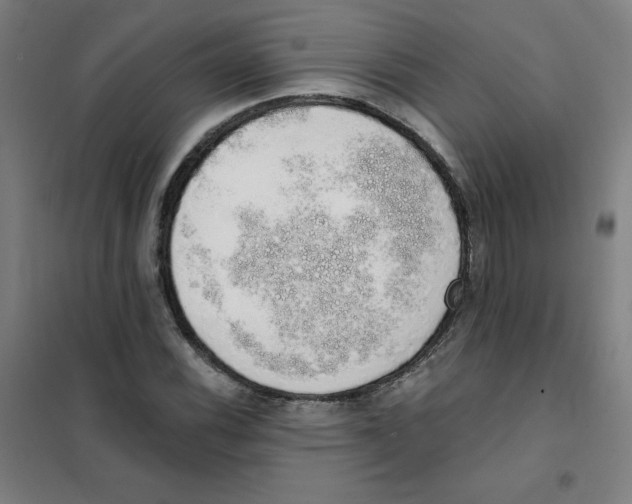 X0000101401116200808041034