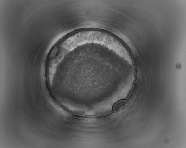 X0000101401120200808041034