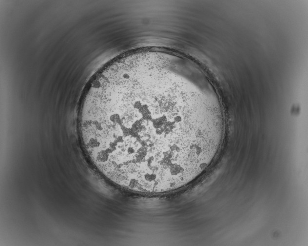 X0000101401121200808041034