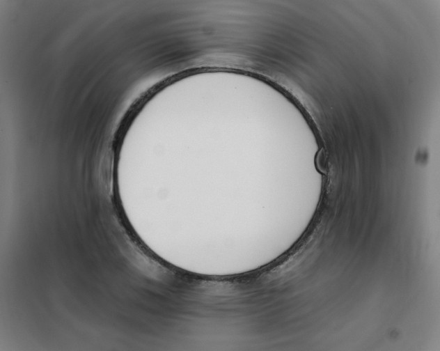 X0000101401123200808041034