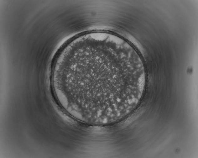 X0000101401124200808041034