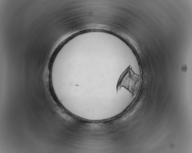 X0000101401125200808041034