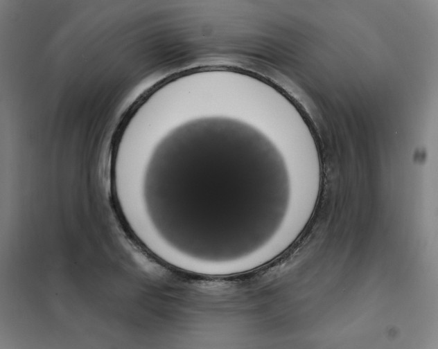 X0000101401127200808041034