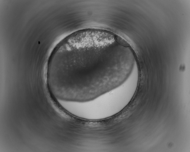 X0000101401128200808041034