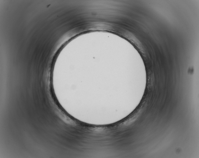 X0000101401130200808041035