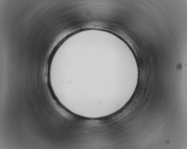 X0000101401131200808041035