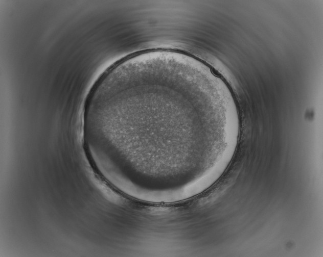 X0000101401132200808041035