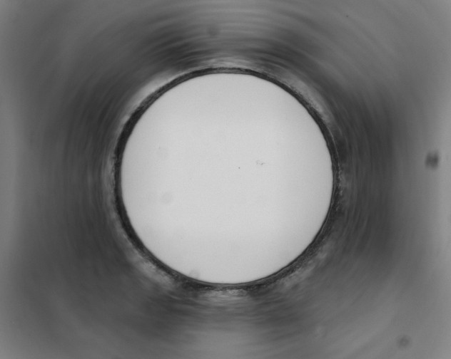 X0000101401133200808041035