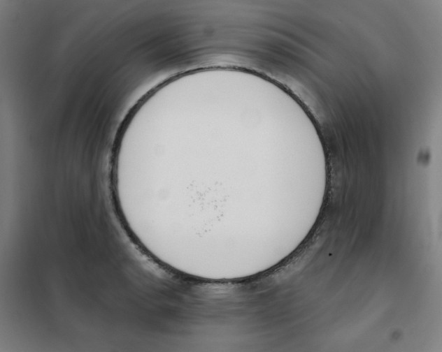 X0000101401134200808041035