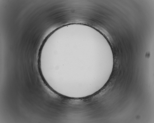 X0000101401135200808041035