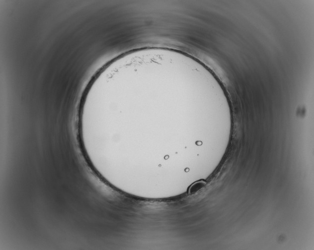 X0000101401136200808041035